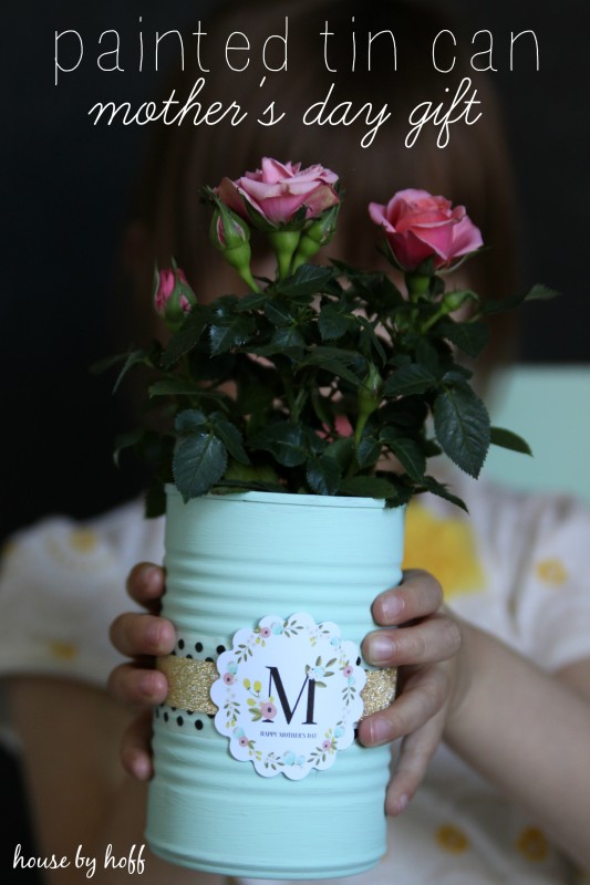 17 DIY Mother's Day gift ideas she'll actually use! - Lolly Jane