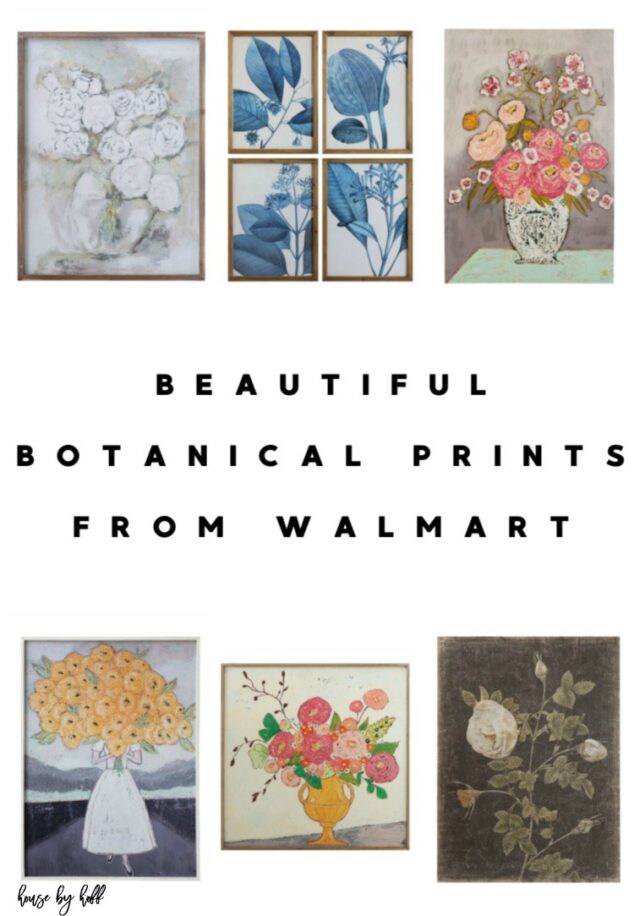 Beautiful Botanical Prints from Walmart - House by Hoff