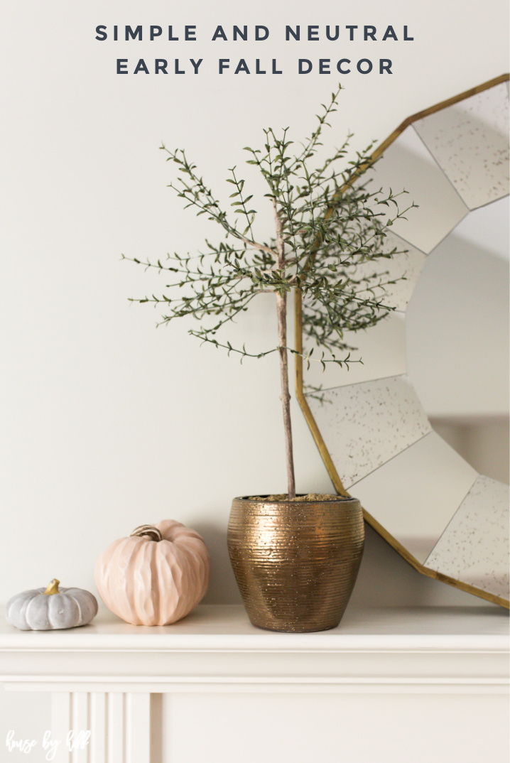 15 Simple Neutral Fall Decor Ideas for Lakeshore Drive